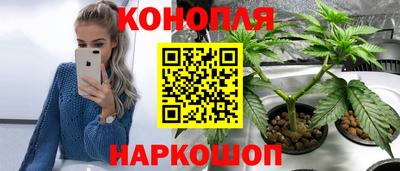 гидропоника Лесосибирск